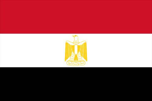 埃及反倾销，第三国转口埃及规避反倾销流程