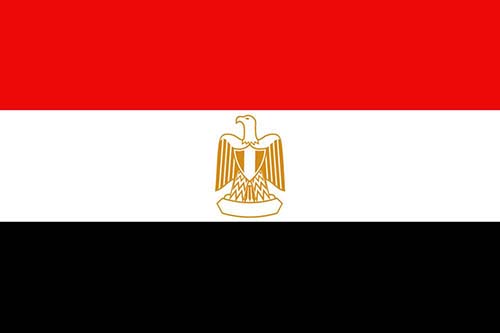 埃及反倾销,转口网转口贸易规避埃及反倾销困扰