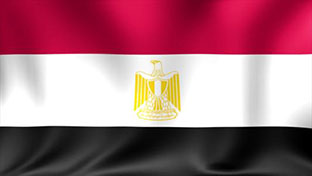 埃及再次延长紧急状态3个月